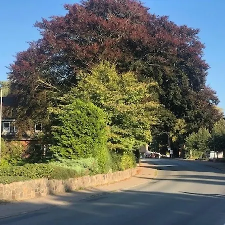 Gaestehaus Alte Buecherei